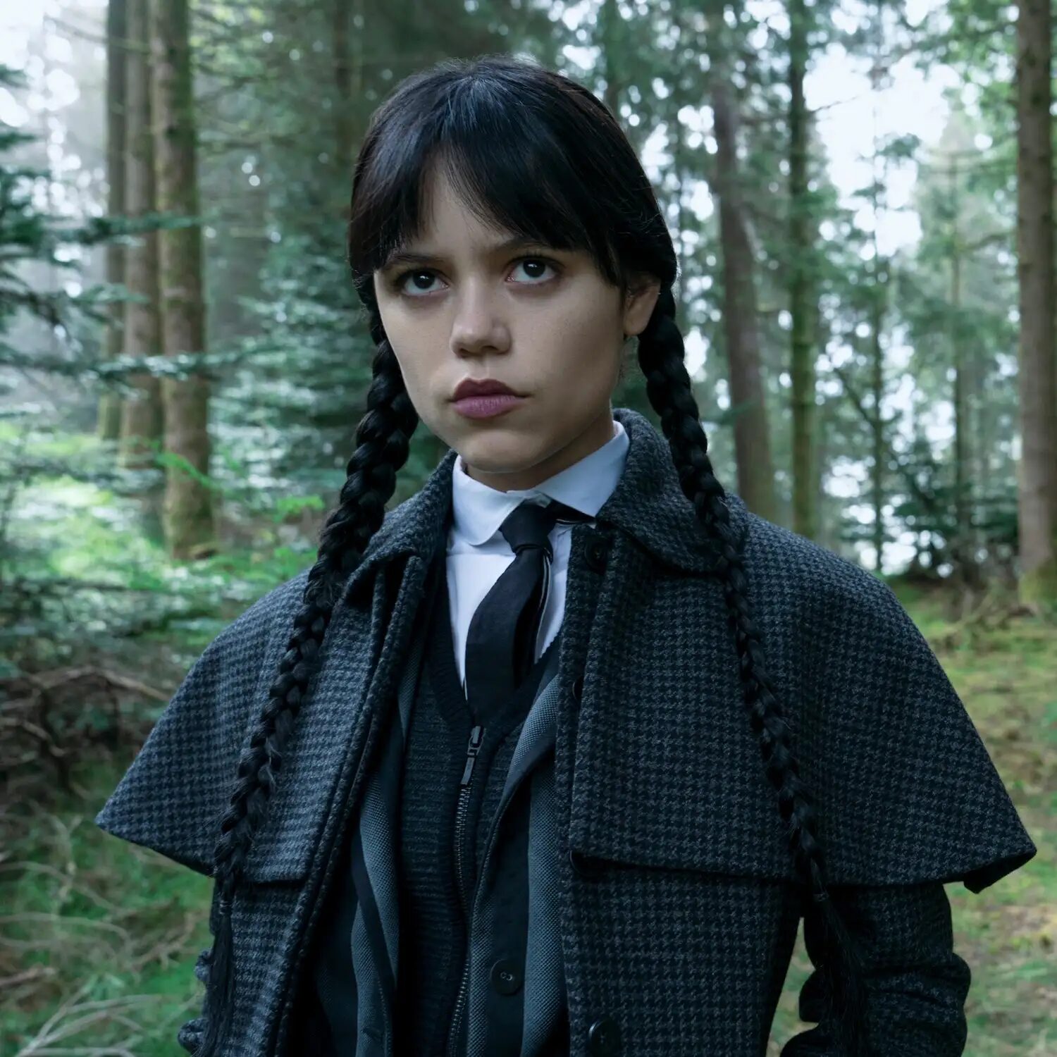 Wednesday Addams-inspired Halloween hairstyle with two dark braided pigtails and center part, gothic Addams Family look.