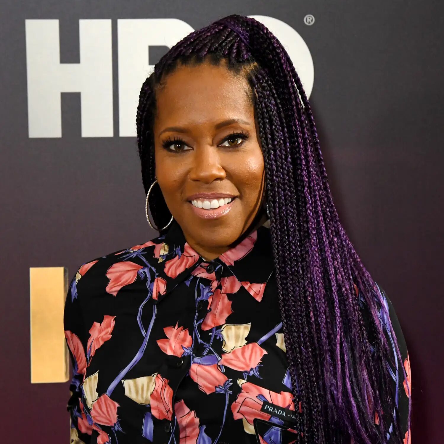 Close-up of plum braids with purple undertones catching the sun, styled in a modern Fulani braid look.