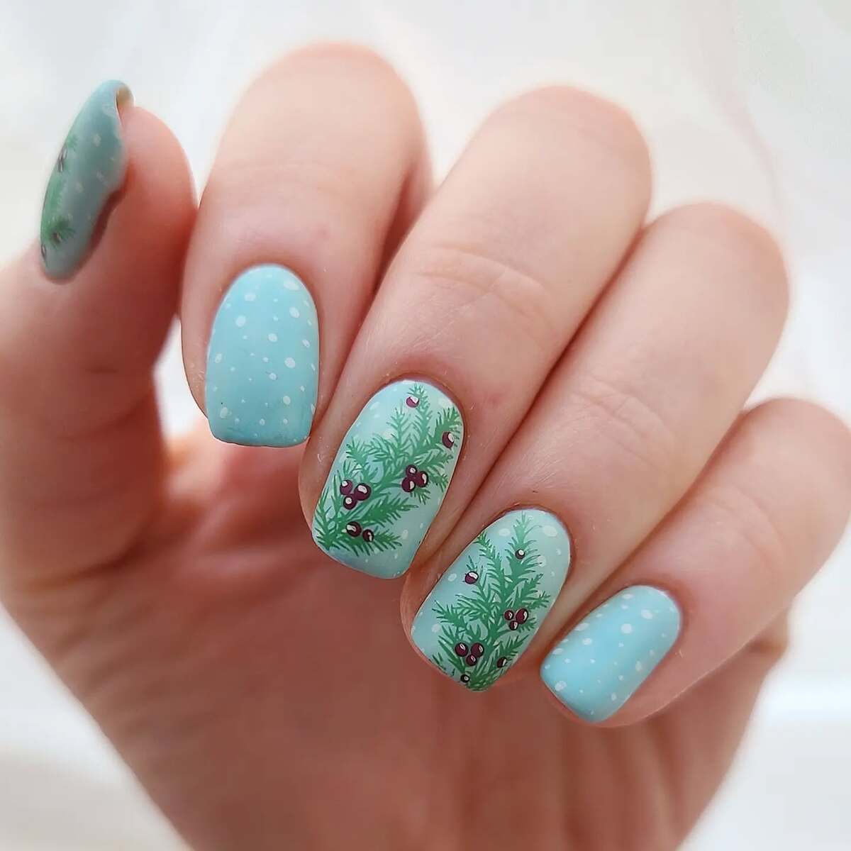 10. Evergreen Frost Delight